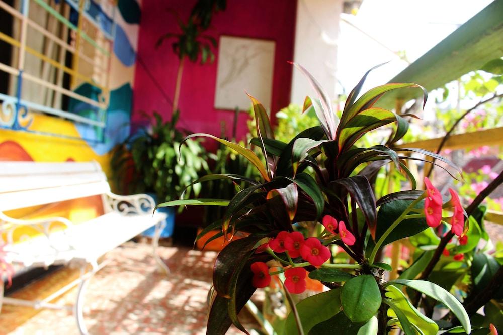 Casa Venecia Hostal *