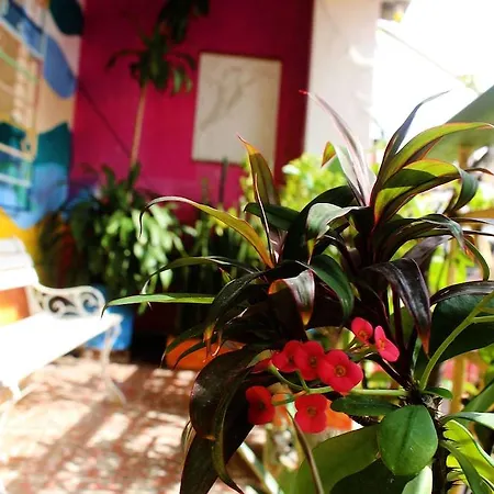 Casa Venecia Hostal *